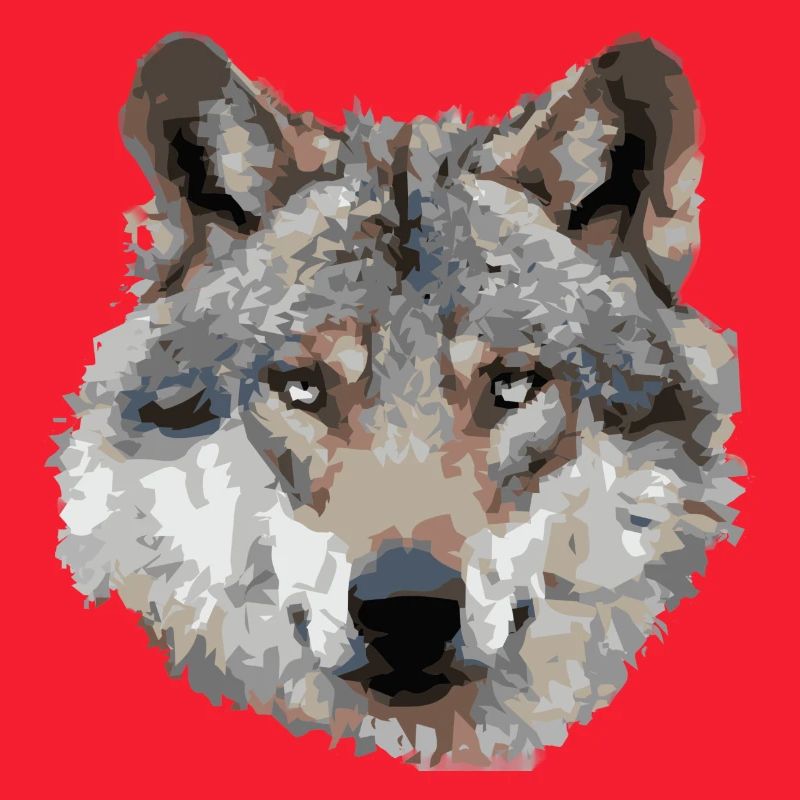 Wolf (grau)