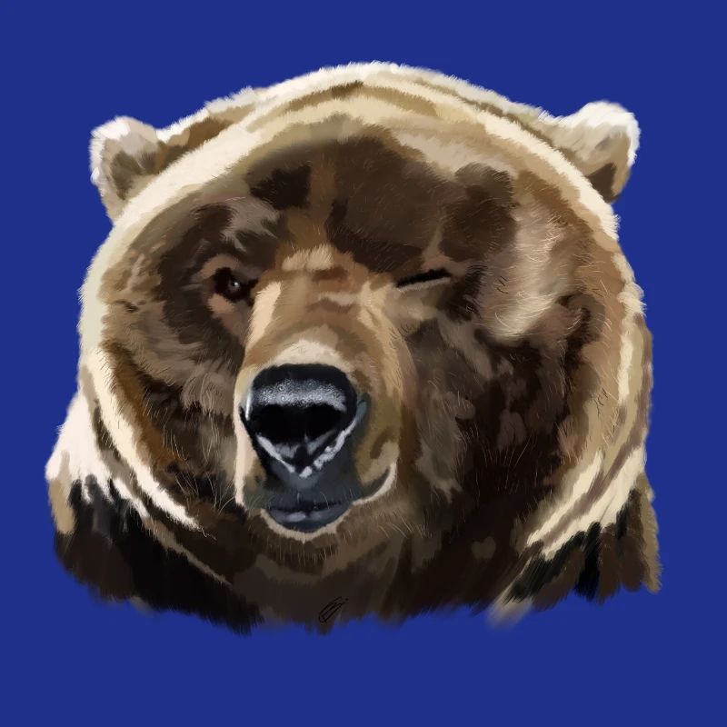 bear