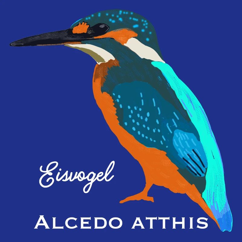 Kingfisher, scientific / German name