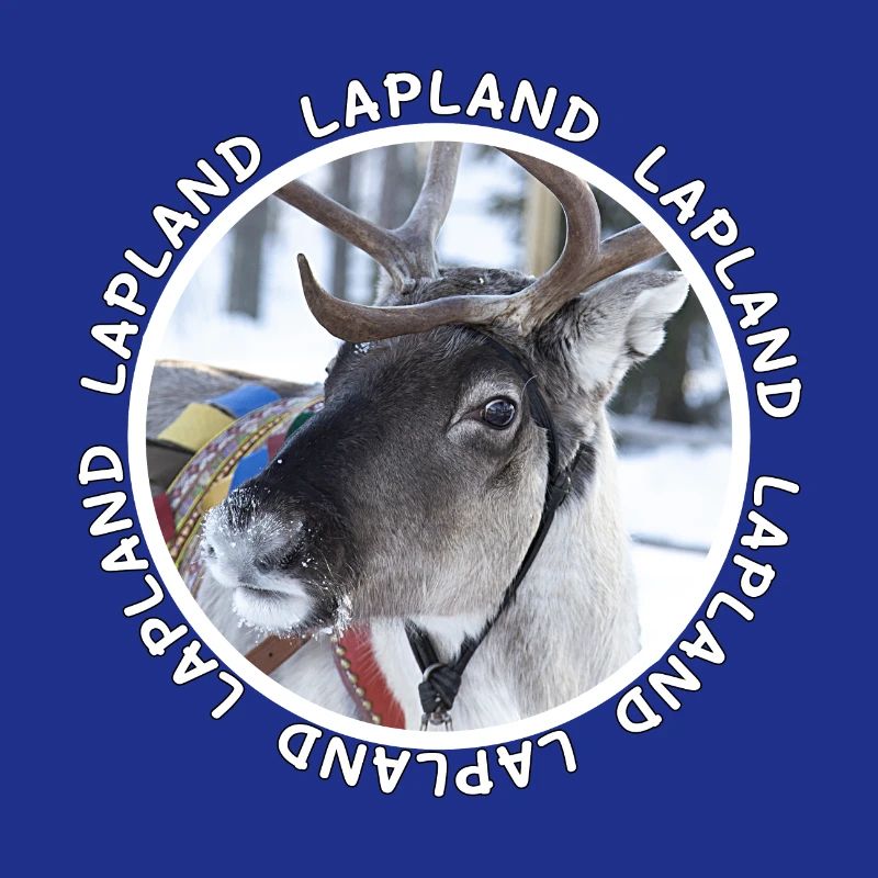 Lapland reindeer