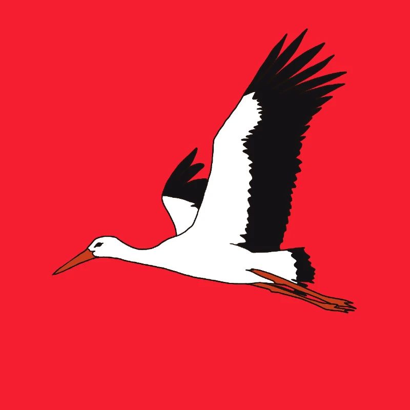 fliegender Storch