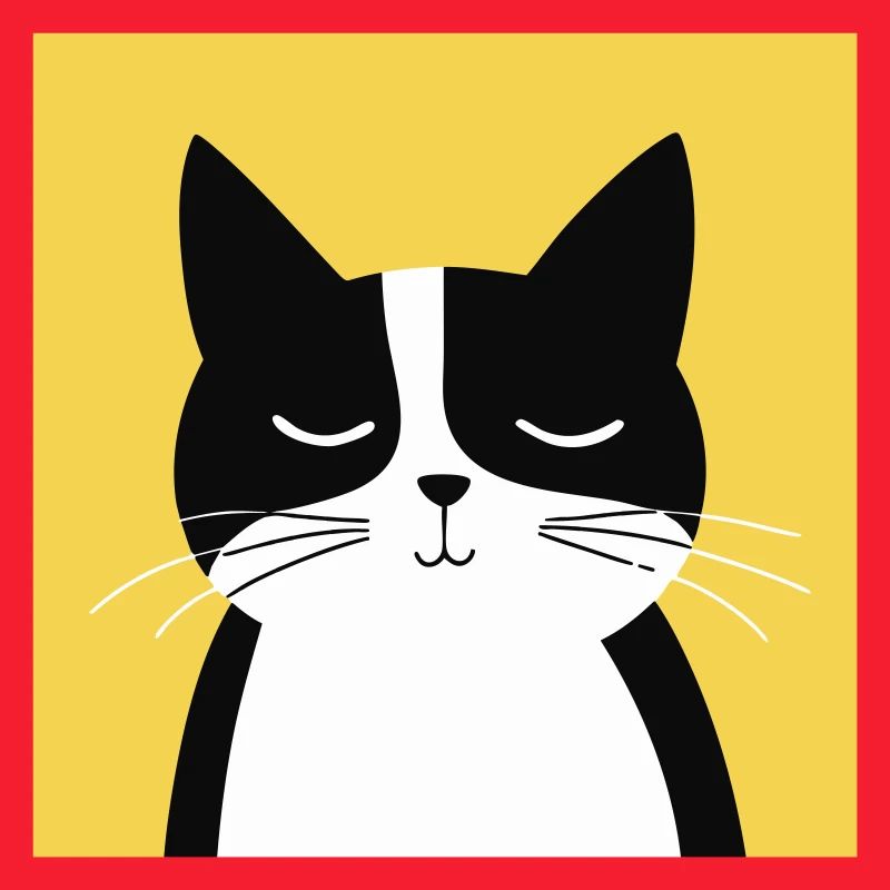 Chat noir et blanc minimaliste