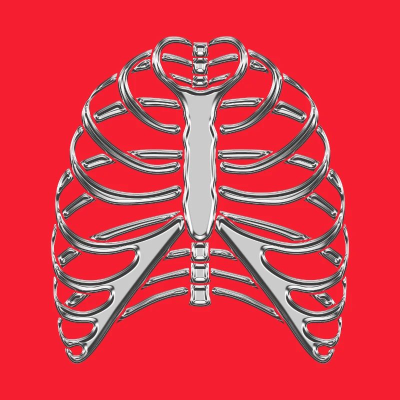 Chrome Ribcage / Skeleton Ribs