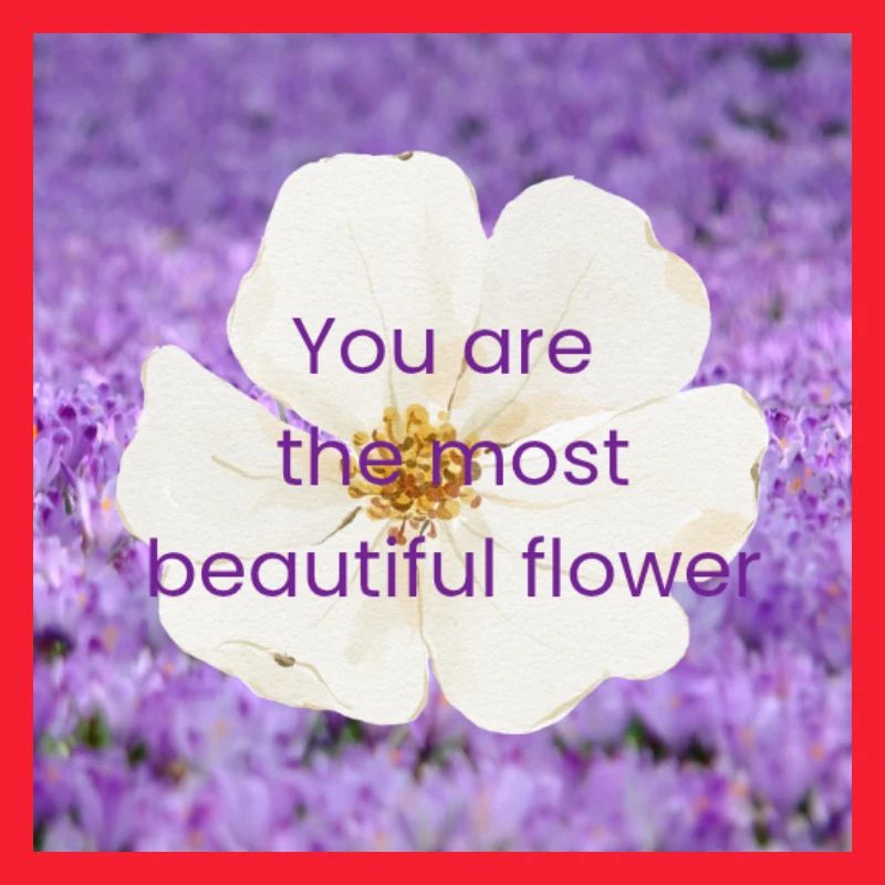 La plus belle fleur, c’est toi