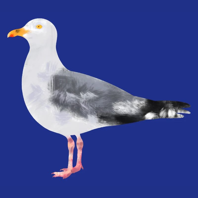 Silbermöve