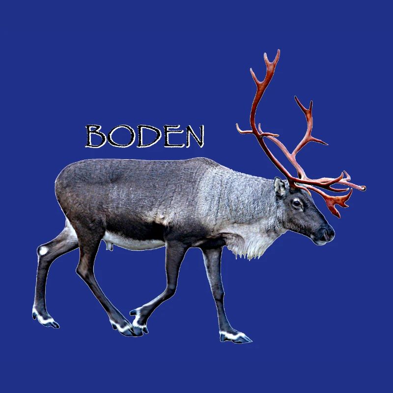 Boden