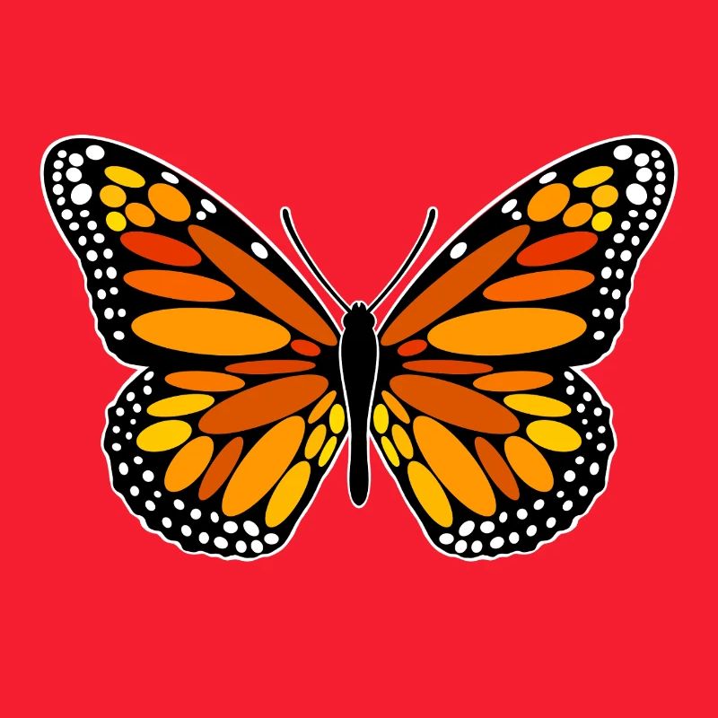 Papillon monarque