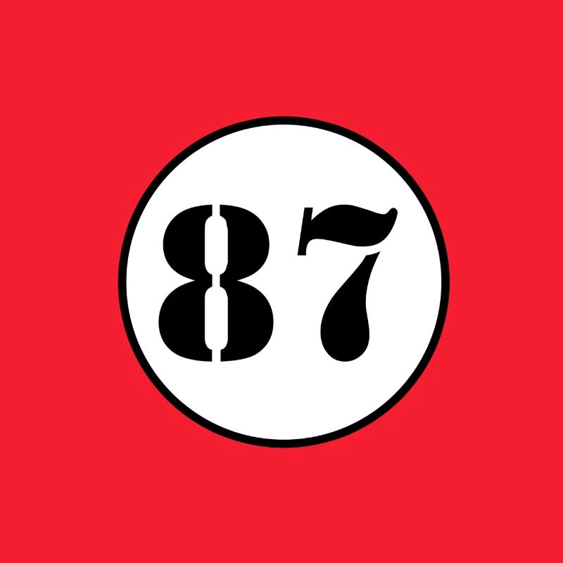 NUMBER 87 eighty seven birthday gift