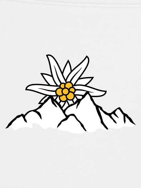 Sonne Bergblume Edelweiss