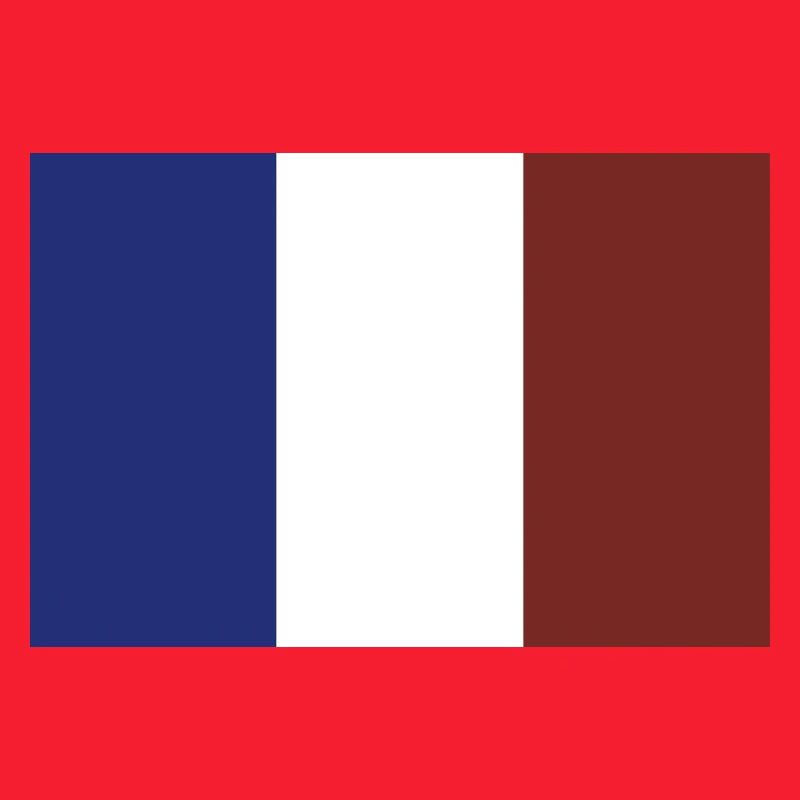 Frankreich Flagge