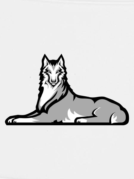 Chechen Lone Wolf