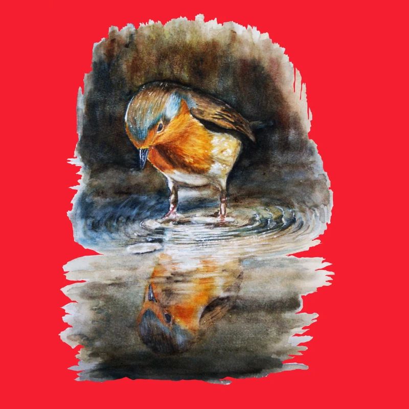 robin