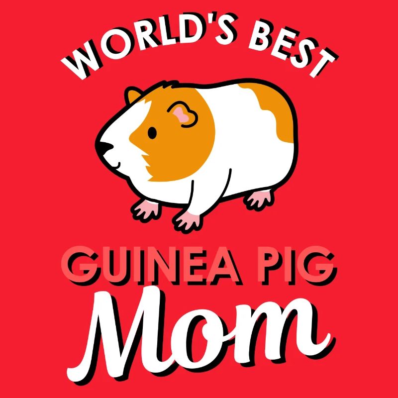 guinea pig
