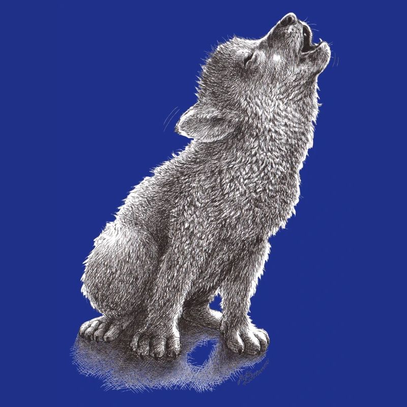 Young howling wolf