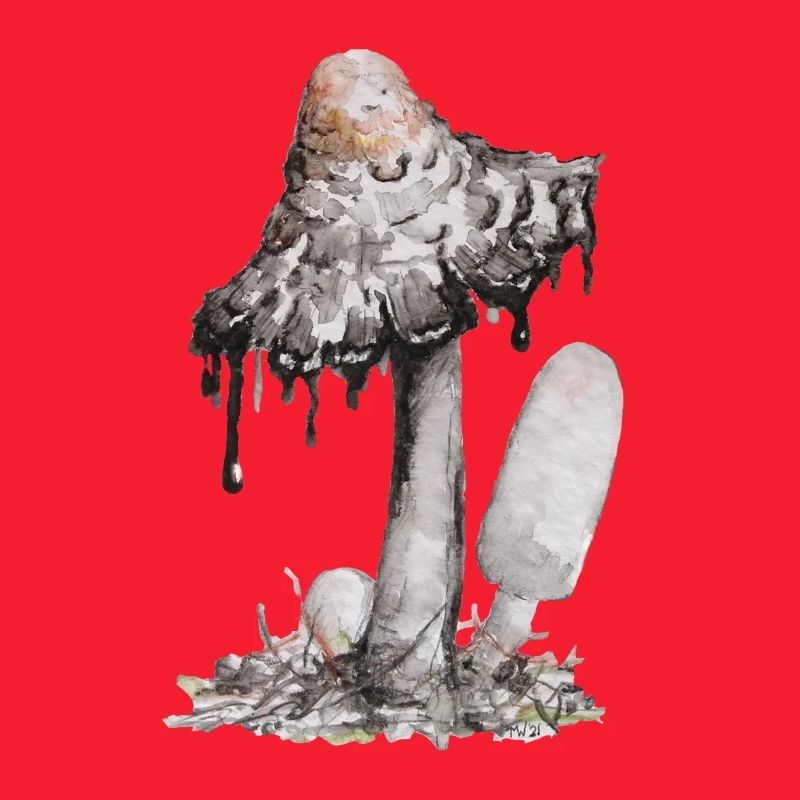 champignon de l’encre