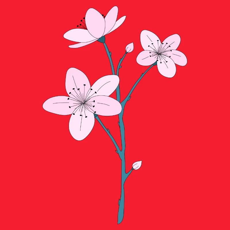 Kirschblüten