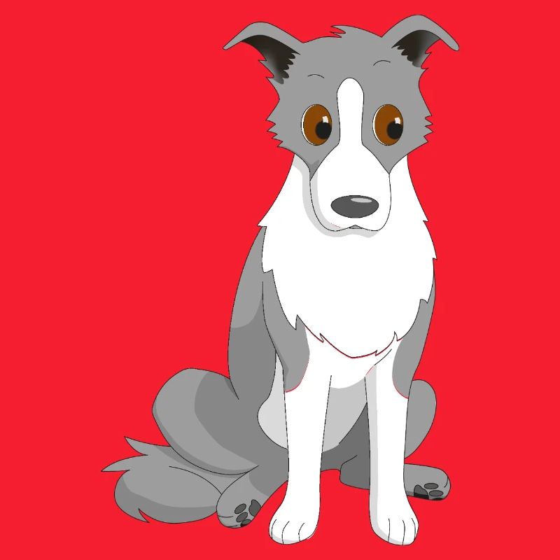 Border Collie Side Eye