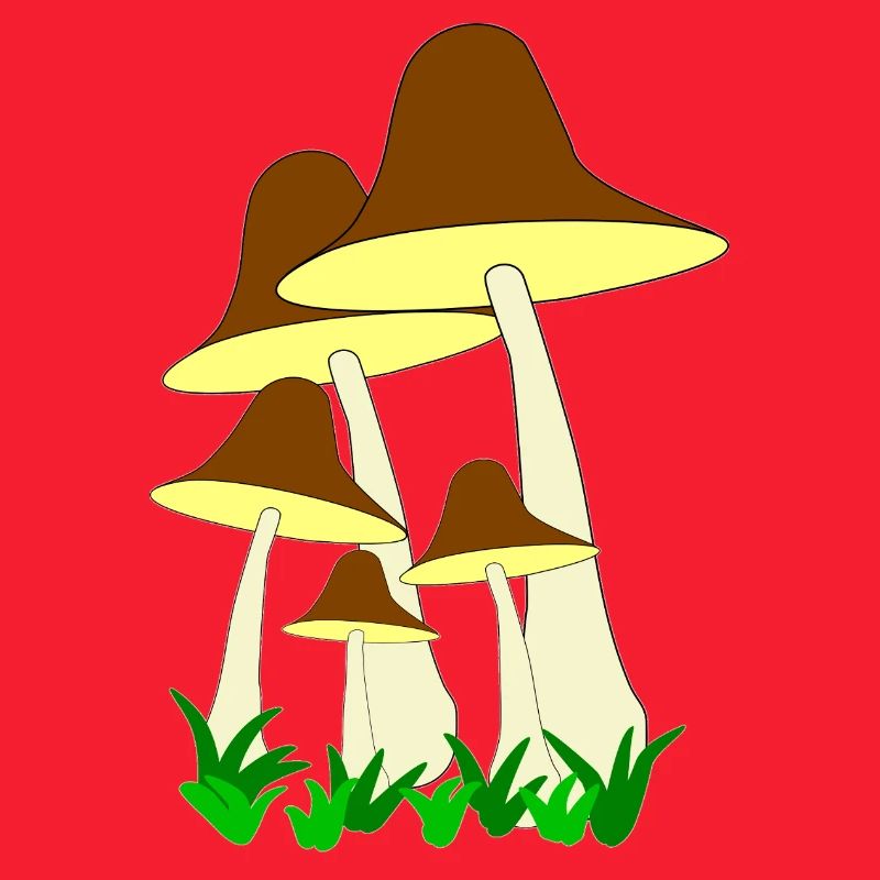 Fungi