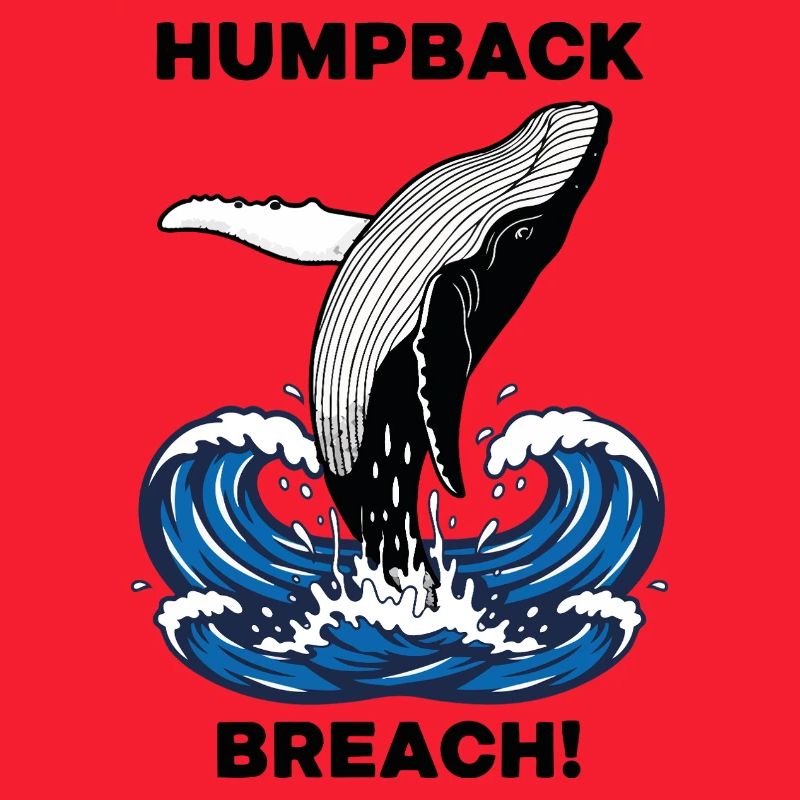 Buckelwalbruch Seebuckelwal