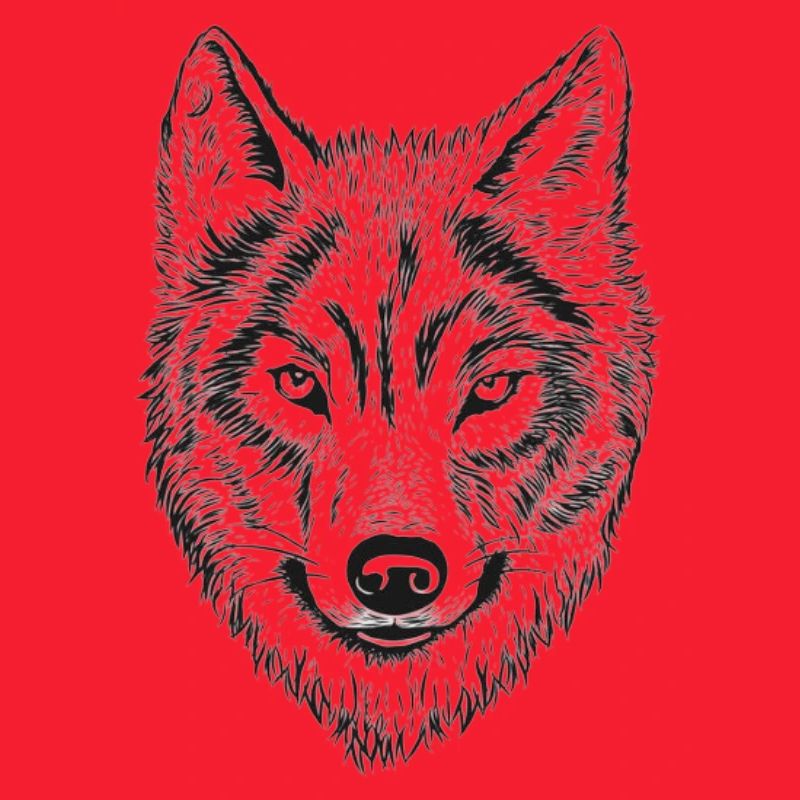 Dessin au trait de Wolfenkopf