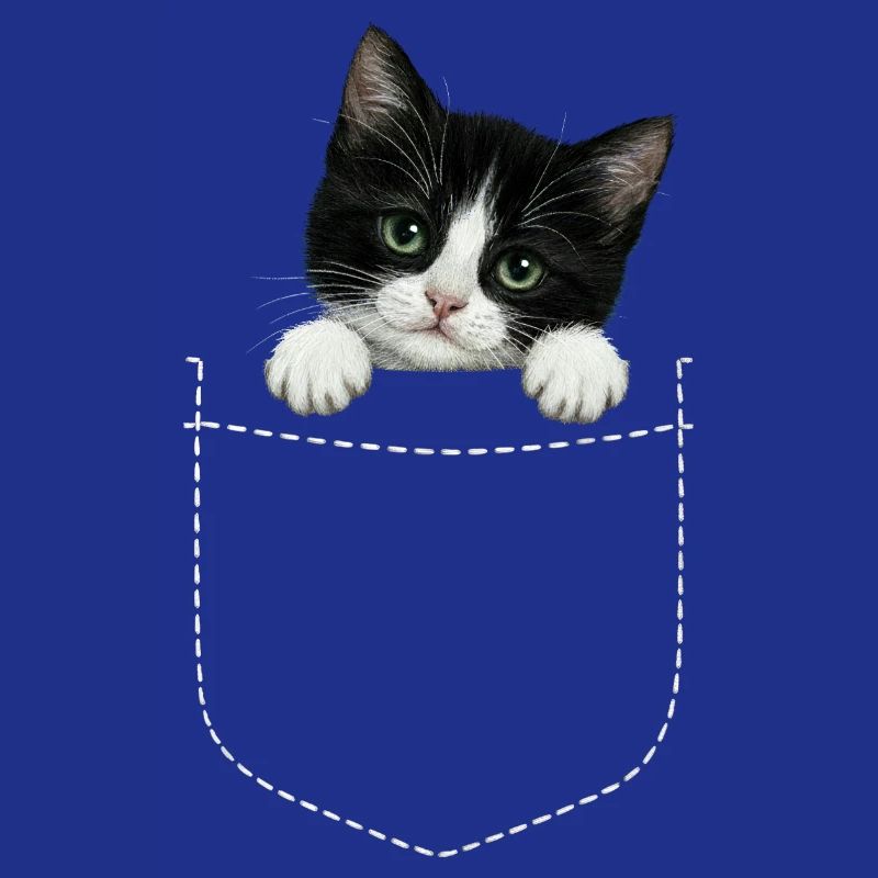 Cat Pocket jette un coup d’œil à un chat mignon dans la poche