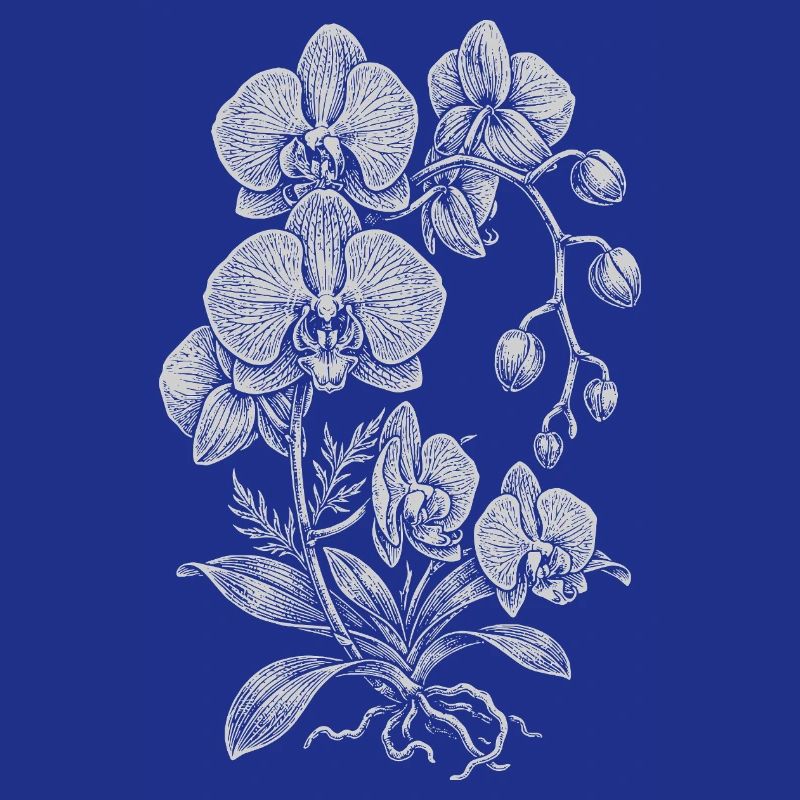Orchidée Linework Silk Floral