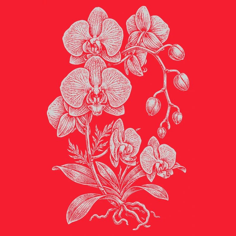 Orchid Linework Silk Floral