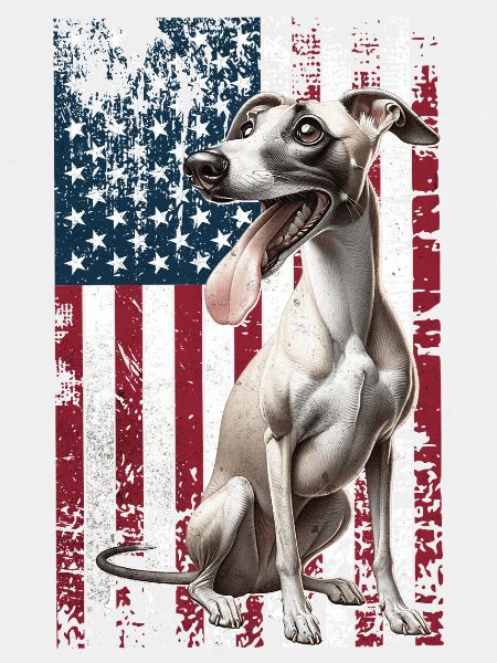 Whippet US Windhund