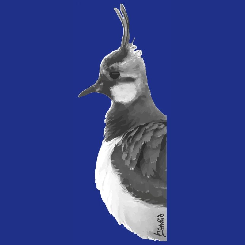 Lapwing Portrait