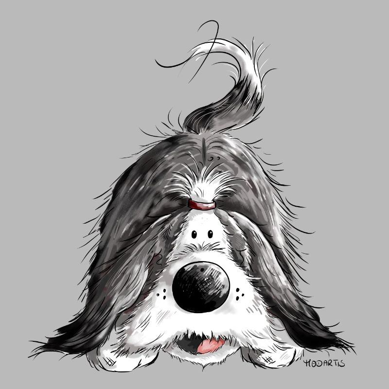 Funny Bearded Collie