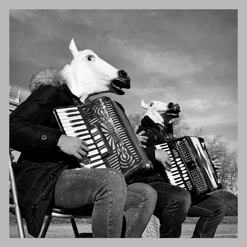 Bande de chevaux