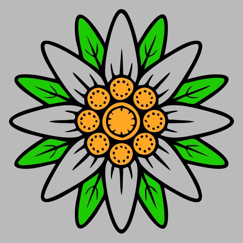 Edelweiss