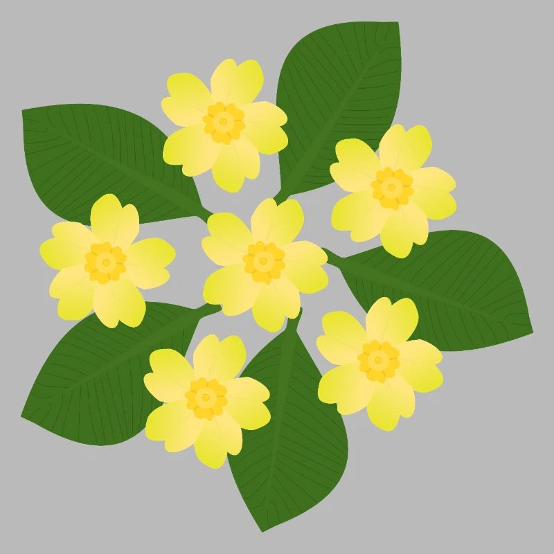 Februar Geburtstag Blüte Primeln Geburtstagsblume