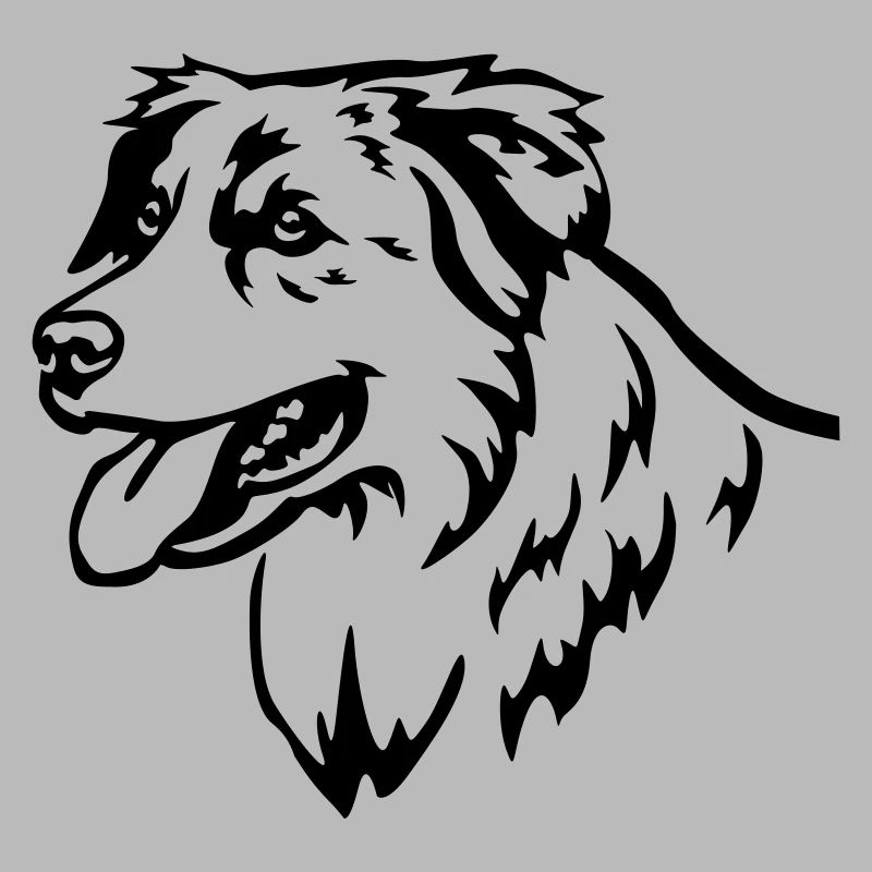 Australian Shepherd Head