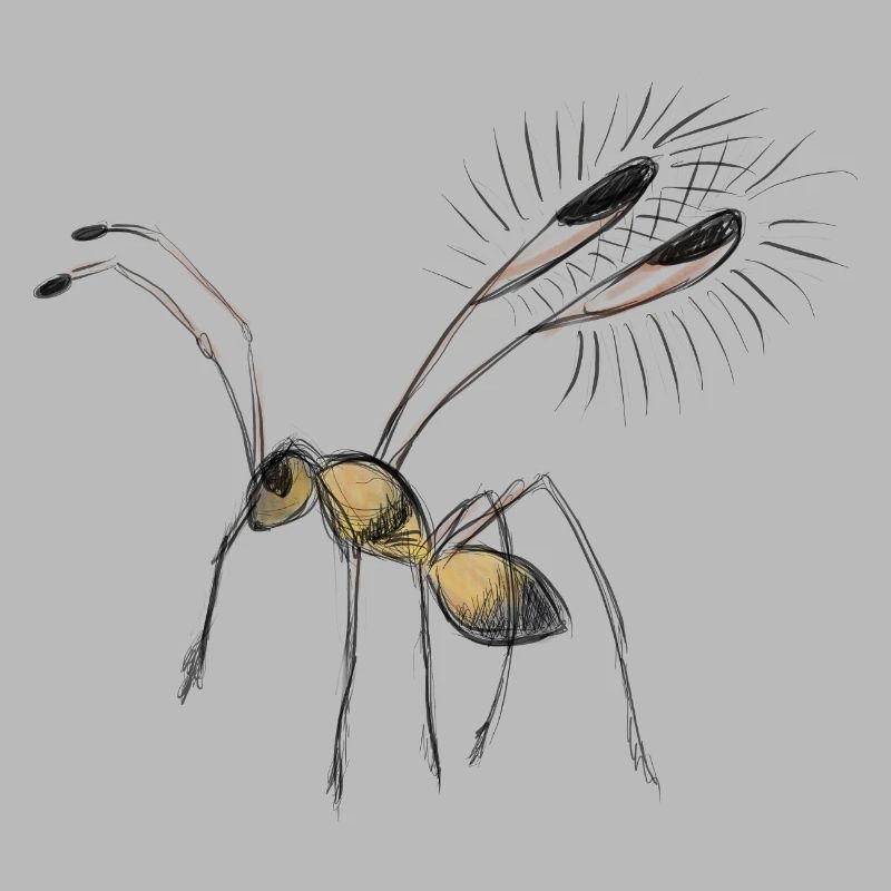 Dessin de minuscule mouche