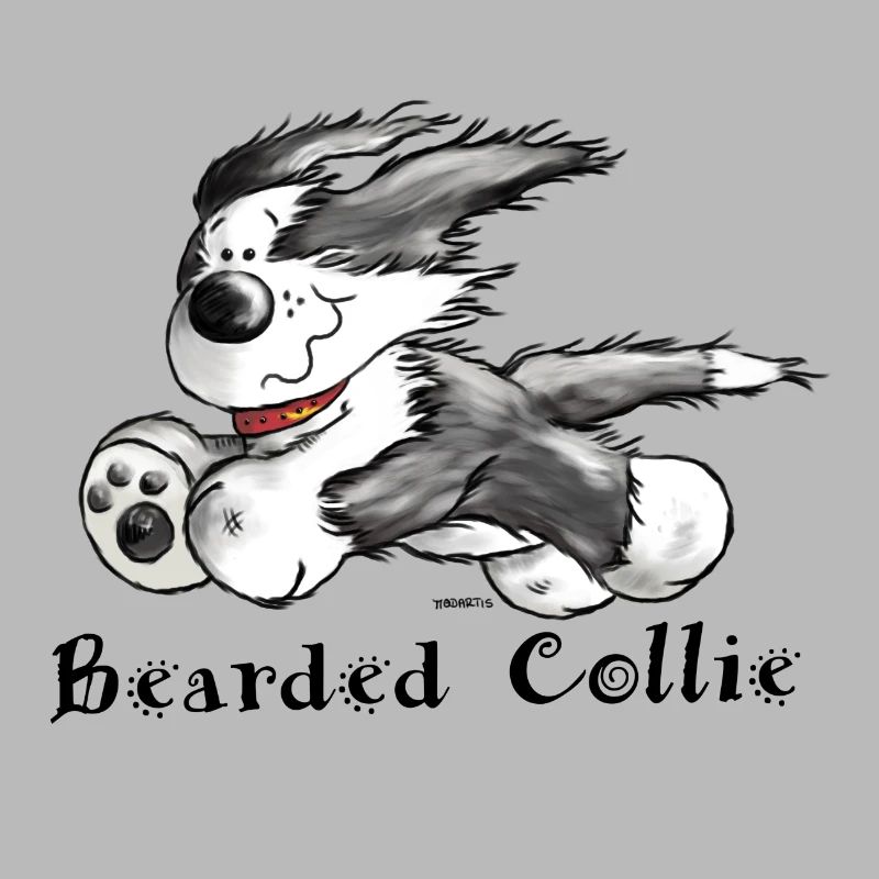 Bearded Collie