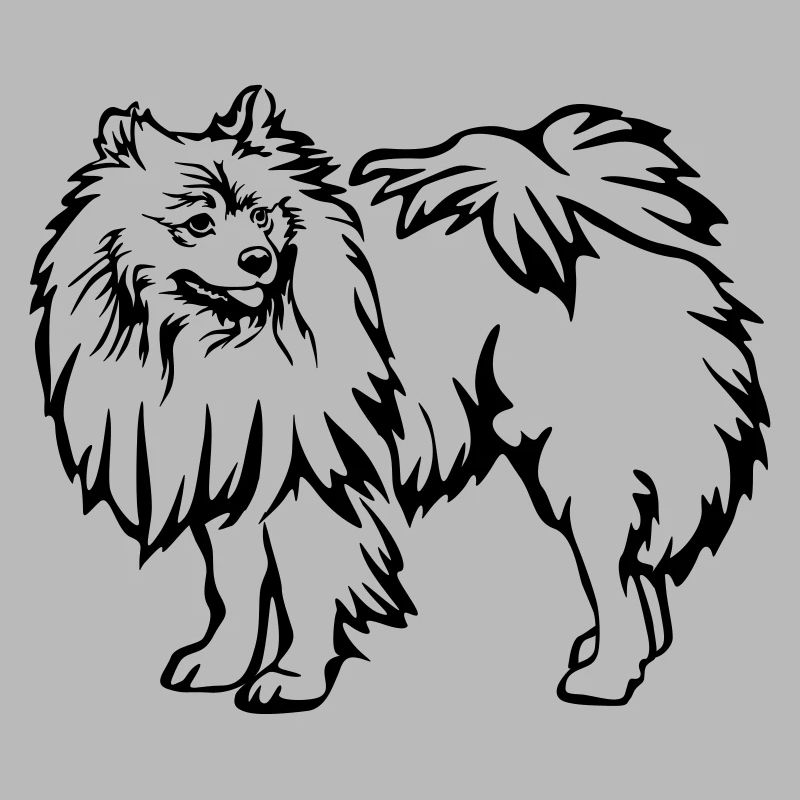 Spitz