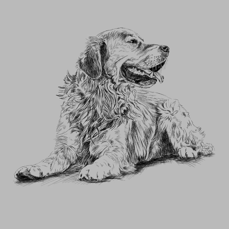 Retriever