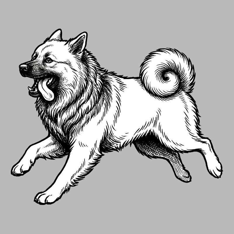 Eurasier | Hell