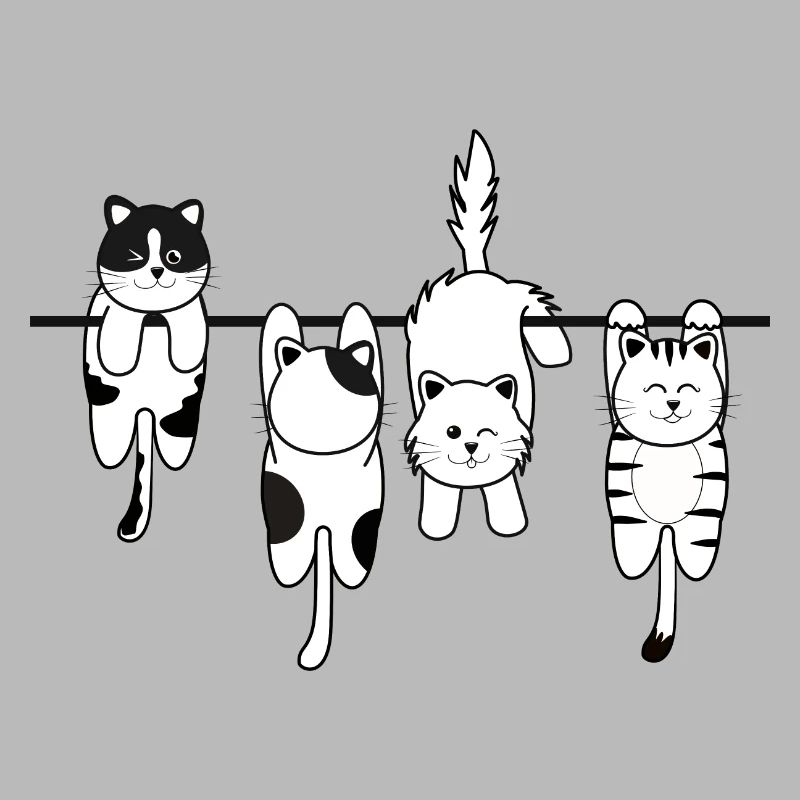 Chat de lessive