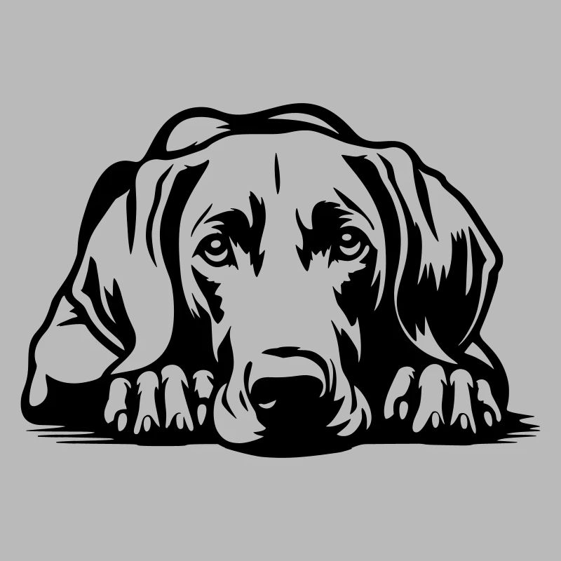 Weimaraner