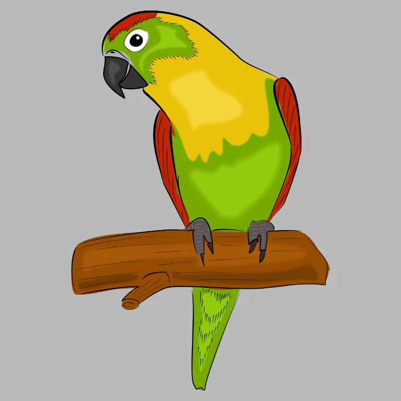 perroquett