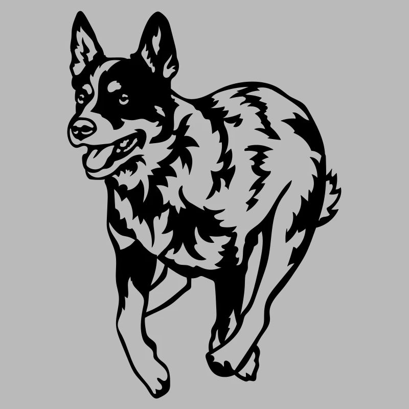 Australian Cattle Dog