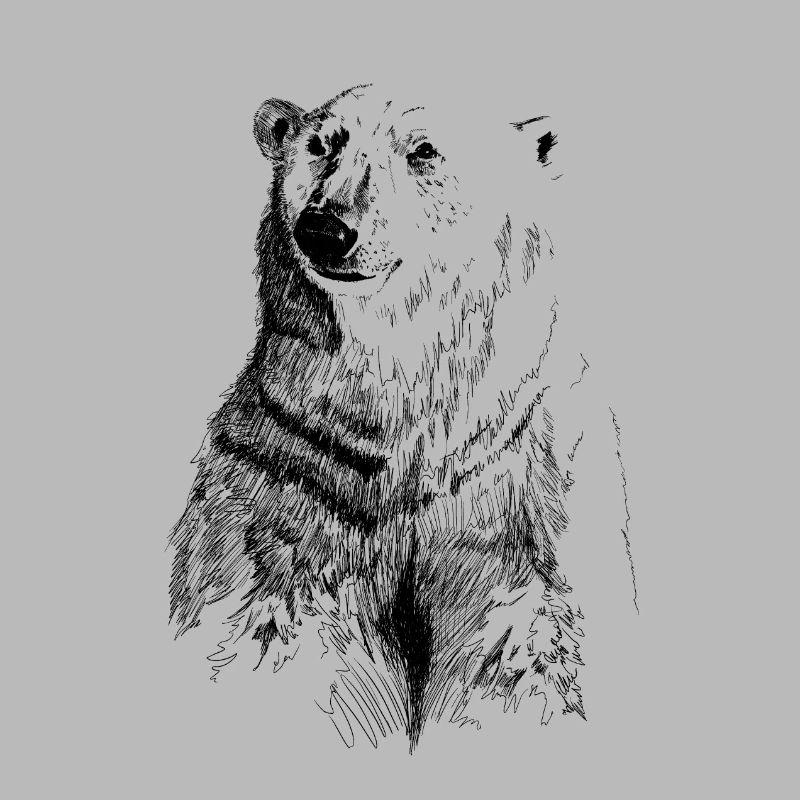 ours blanc