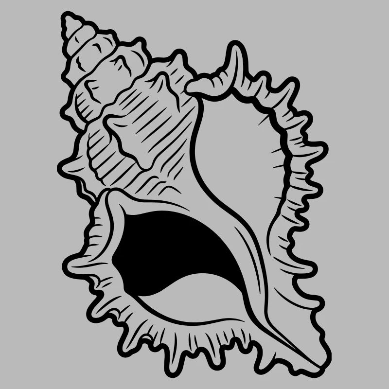 shell