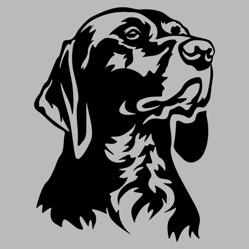 German Shorthair head