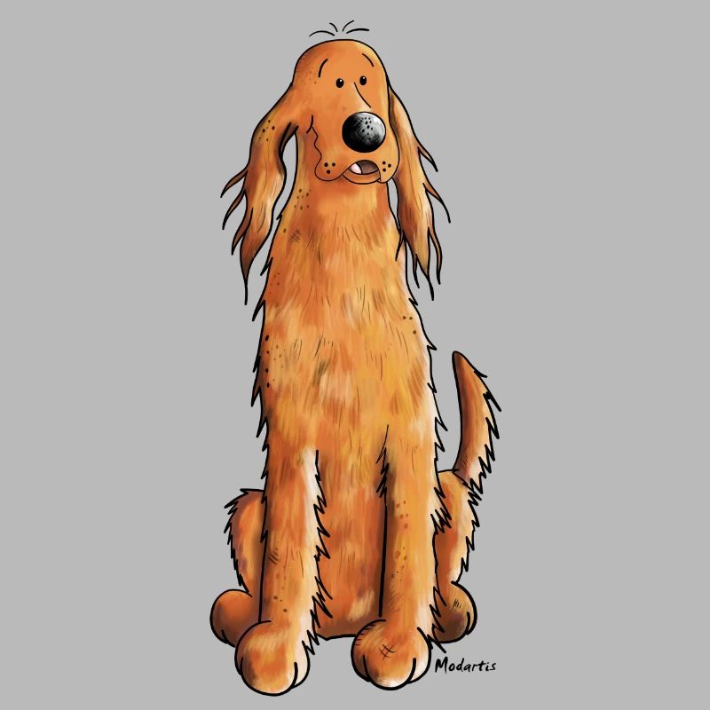 Funny Irish Setter
