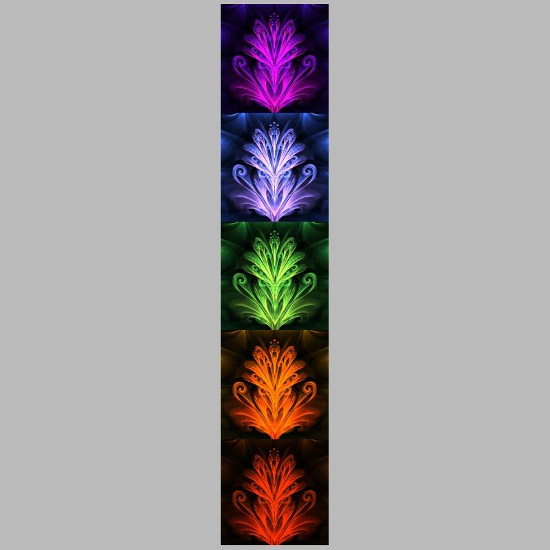 Nightflower Monkeyface
