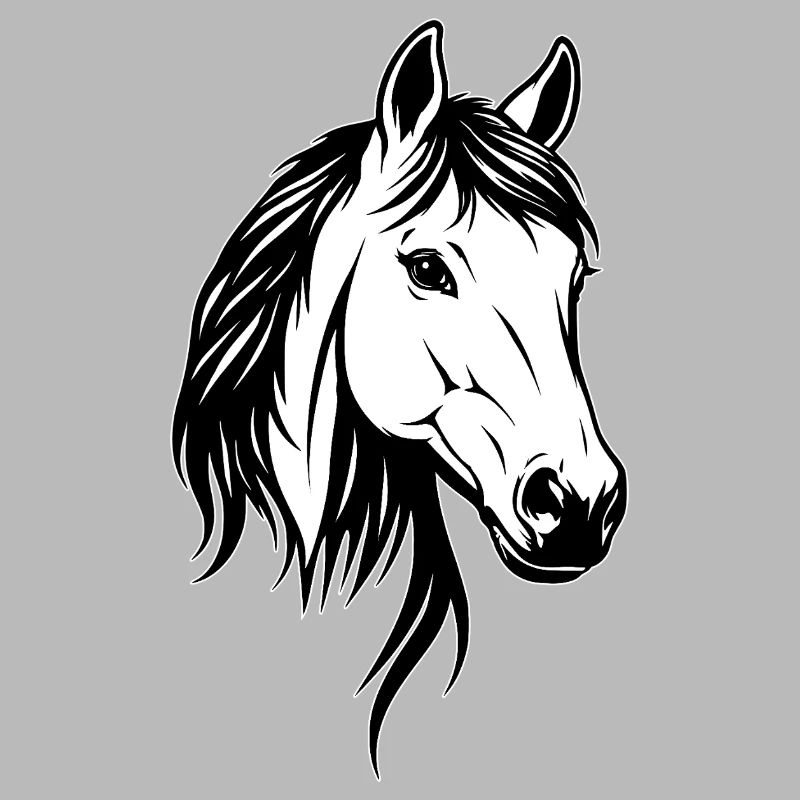 Tête de cheval noir et blanc