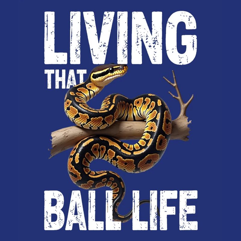 Königspython Schlangen Liebhaber Terrarium Python